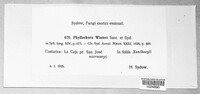 Phyllachora winteri image